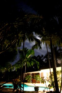 Poolside Moonlight