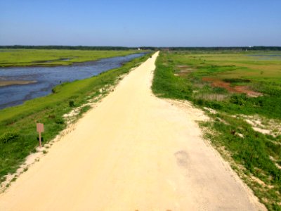 Forsythe wildlife drive after hurricane repairs