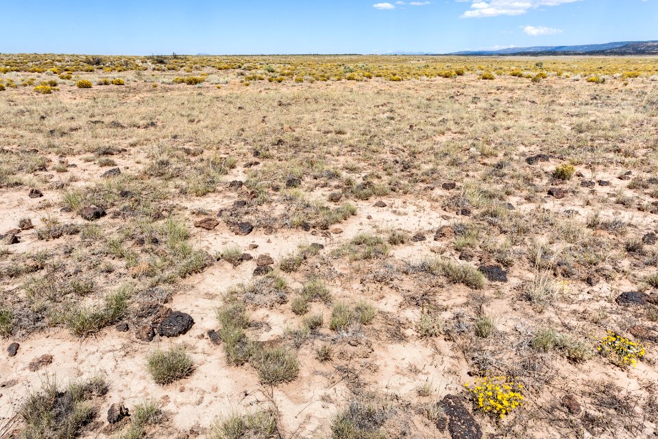 South of Grants Malpais