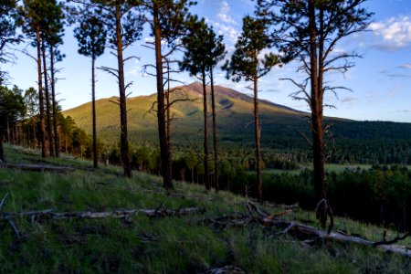 Humphreys Peak, San Francisco Peaks photo