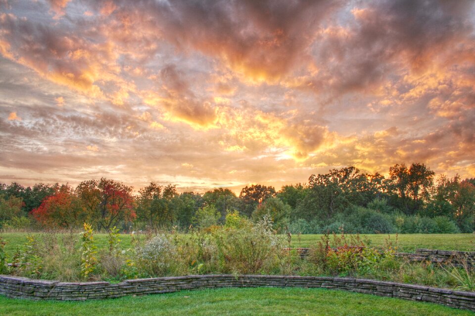 Nature autumn landscape