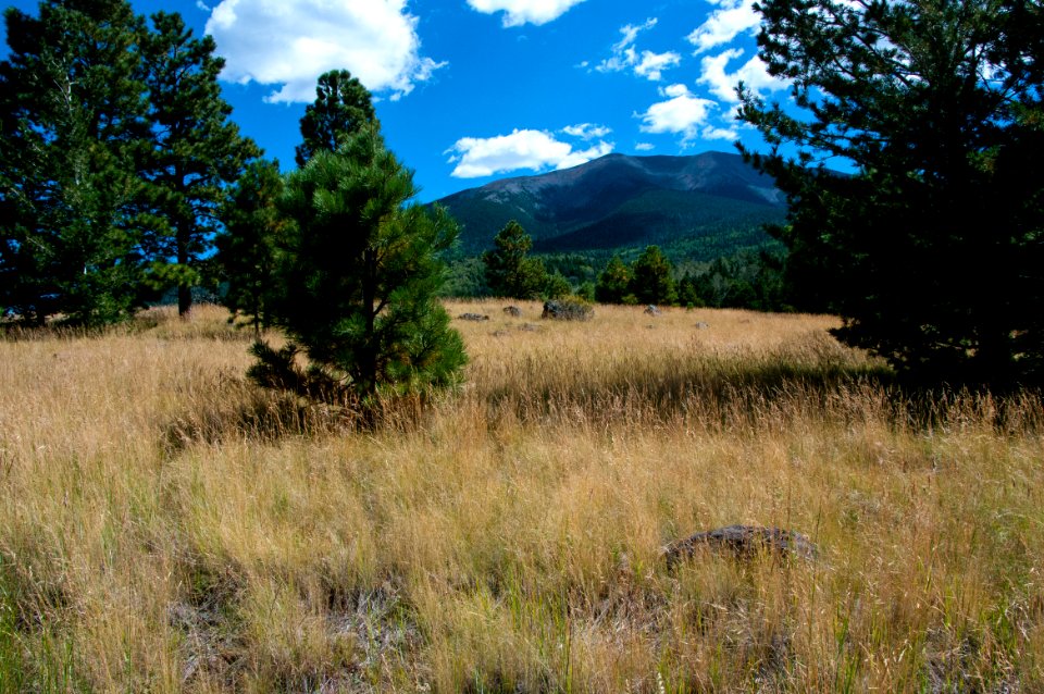 Bismarck Lake Trail