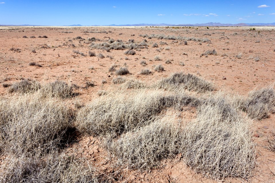 East of the Mimbres River