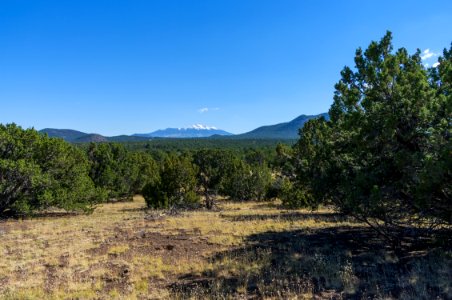 Red Mountain Trail No. 159