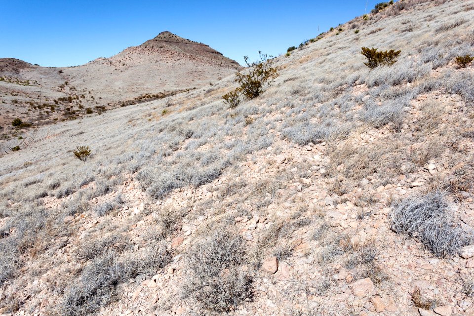 Sierra de las Uvas