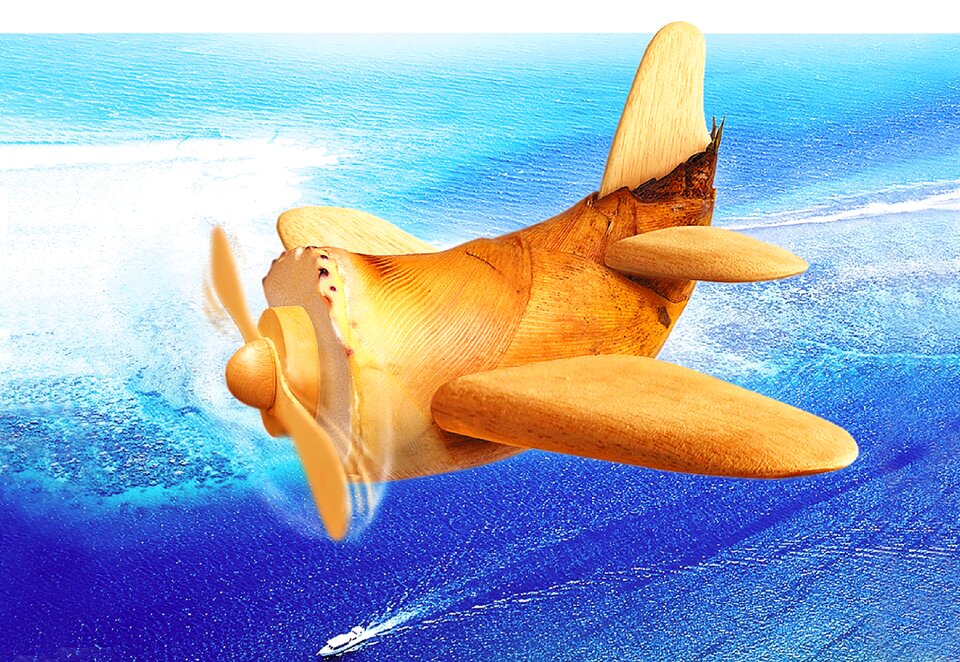 Vegetables bamboo shoots airplane