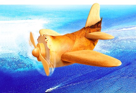 Vegetables bamboo shoots airplane