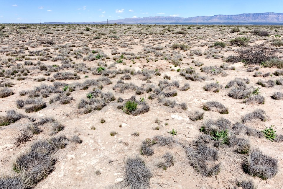 Northern Jornada del Muerto Plain