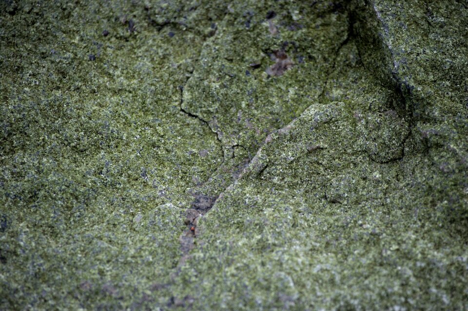 Stone texture natural