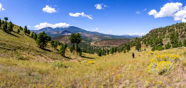 San Francisco Peaks photo