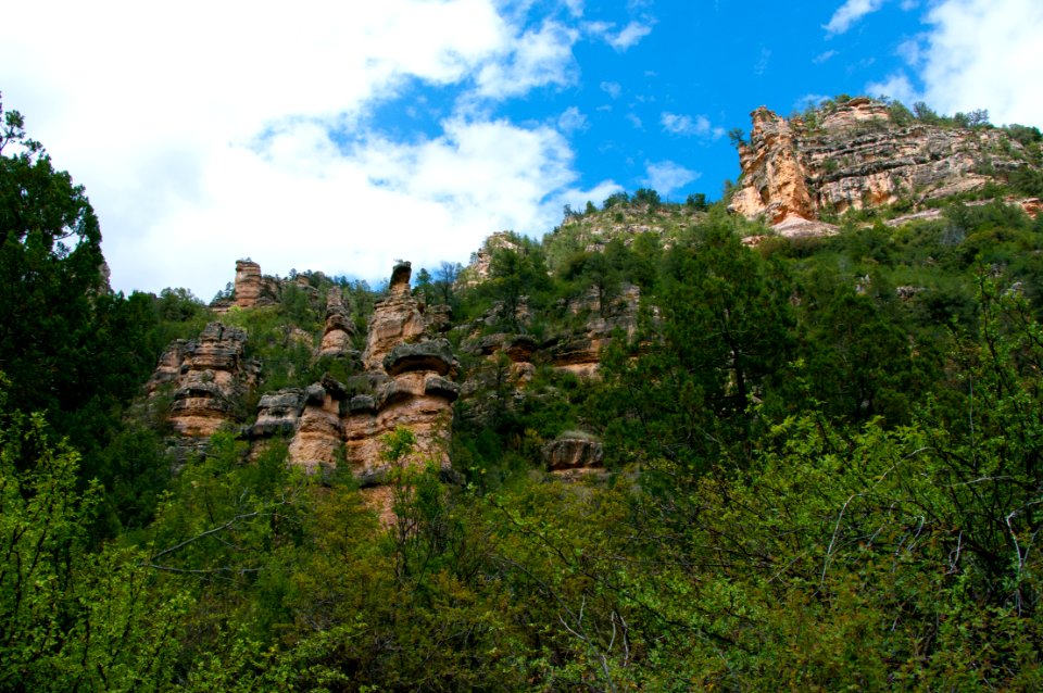 Little L.O. Trail No. 6
