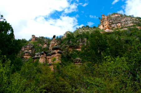 Little L.O. Trail No. 6