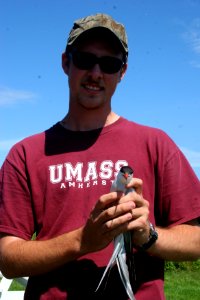 FWS Contractor Holding Tern photo