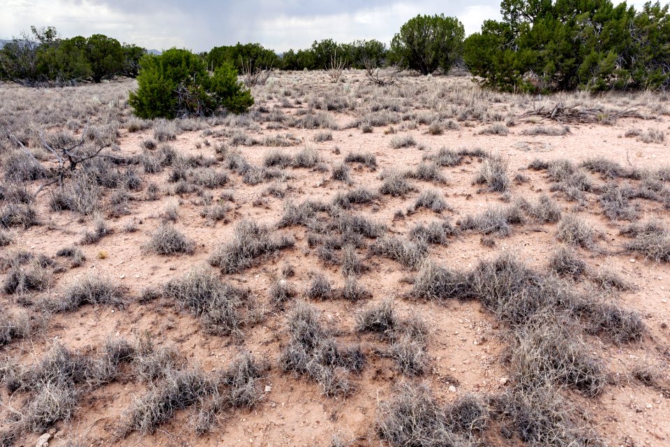 Northwest of San Lorenzo Arroyo