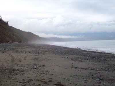 Dungeness Spit Preserve