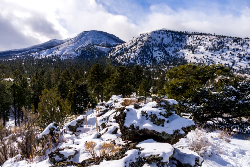 White Christmas