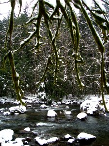 Snowy Twin Falls on Thanskgiving photo