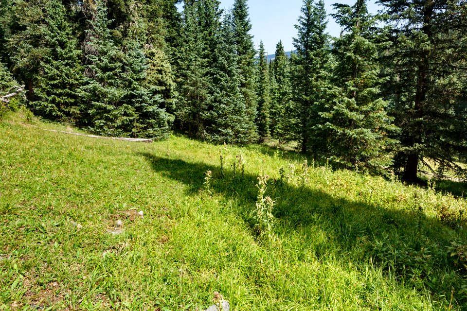 North-northeast of Little Jicarita Peak