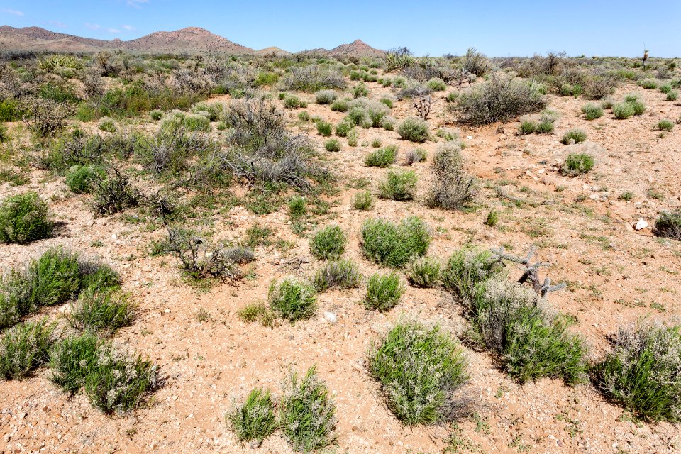 South-southeast of Apache Mountain