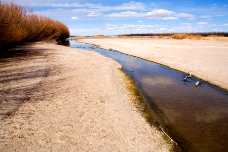 Rio Grande