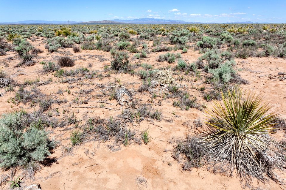 Northern Jornada del Muerto Plain