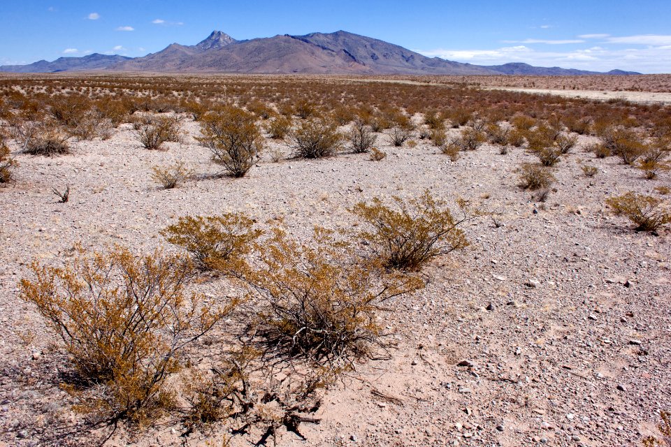 Northwest of Goat Ridge