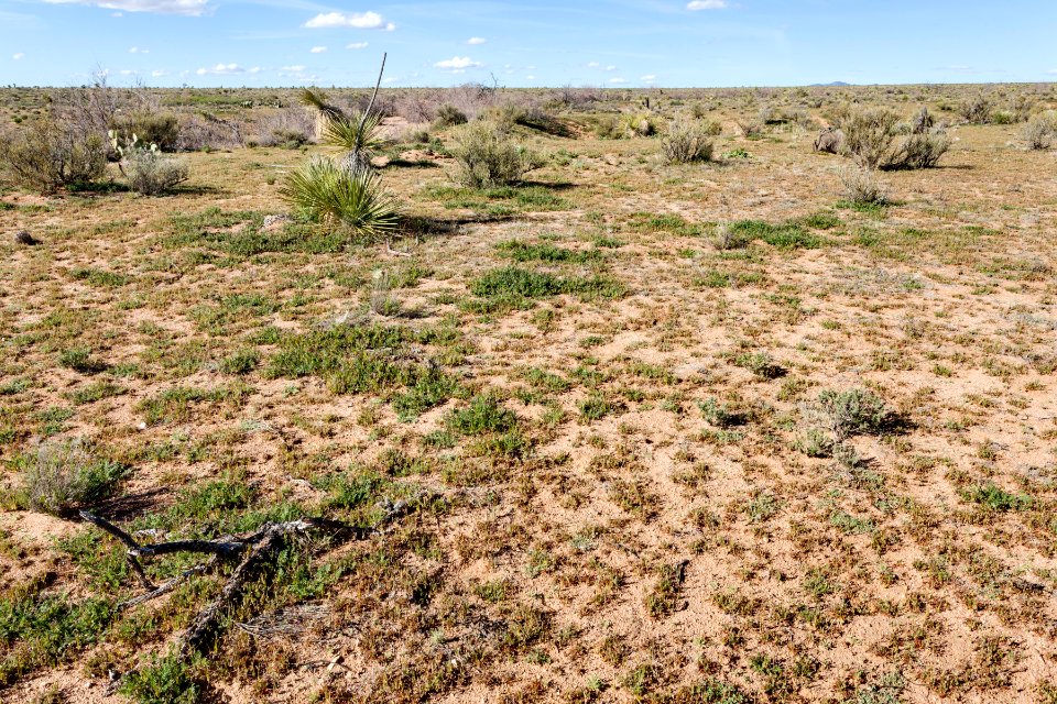 North-northeast of Lordsburg