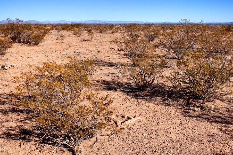 About two miles north-northeast of Cuchillo