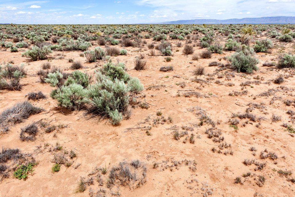 Northern Jornada del Muerto Plain