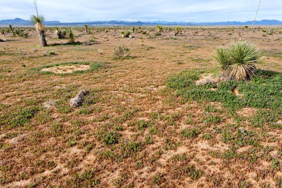 Northeast of Lordsburg