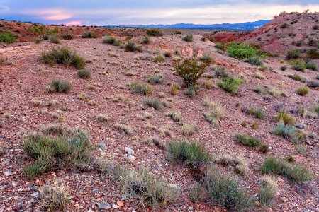 Northeast of Socorro