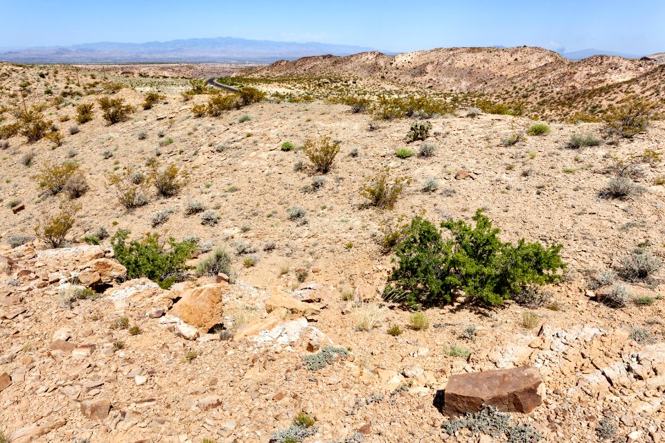 Near San Pedro Arroyo