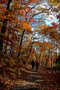 Hiking in fall