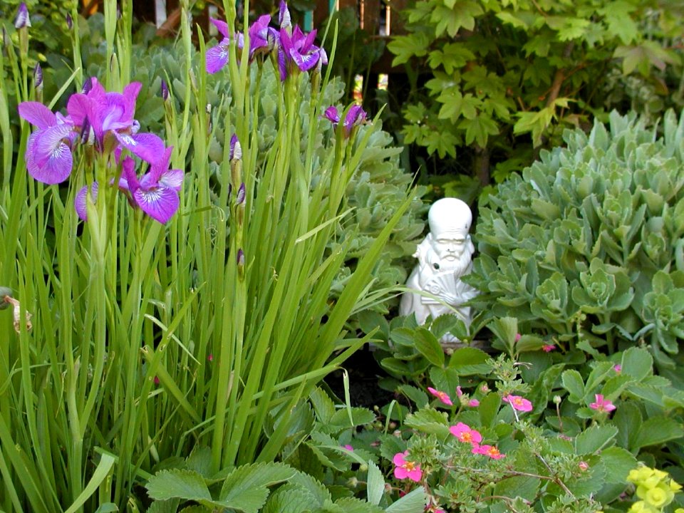 Backyard Idyll