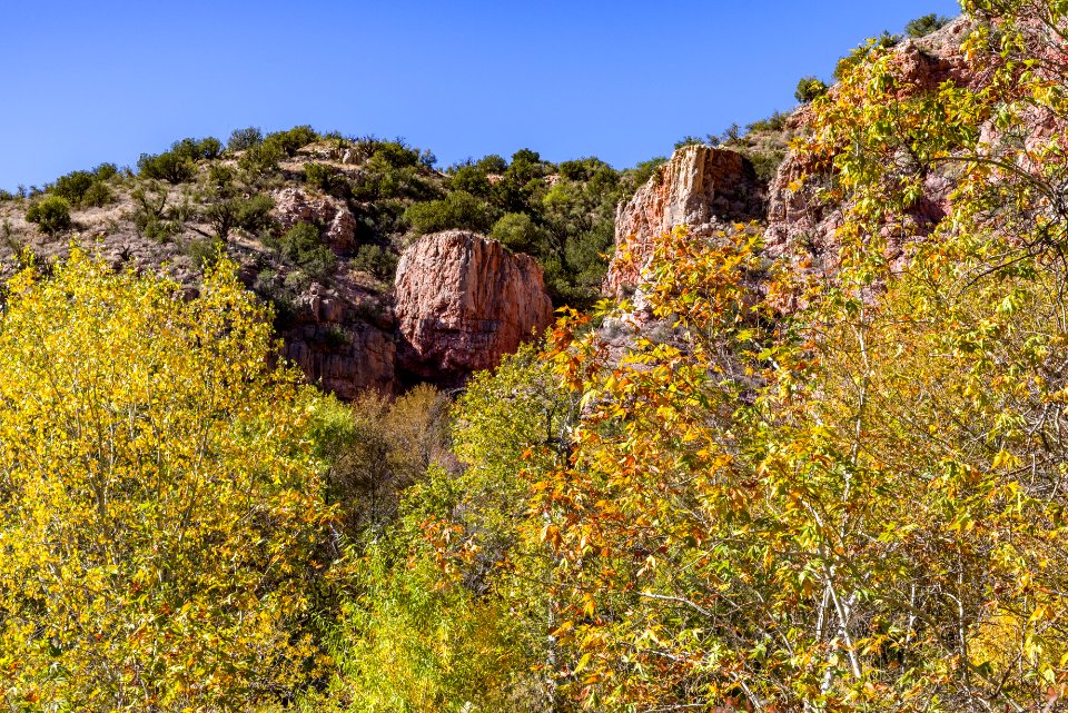 Fall color on Parsons Trail (November 8, 2017)