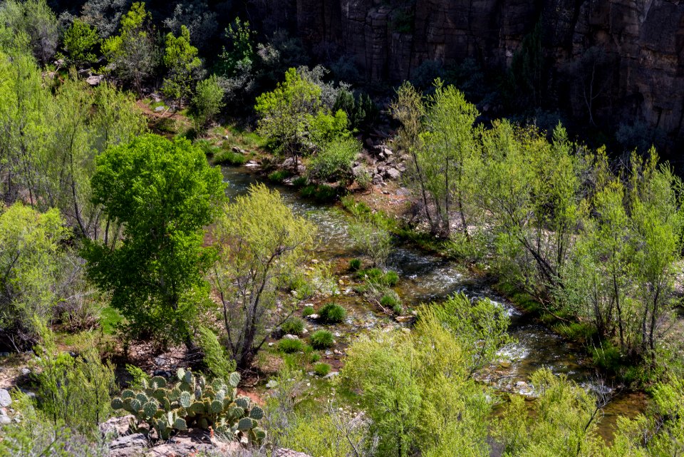 Sycamore Canyon Road: FR 9505
