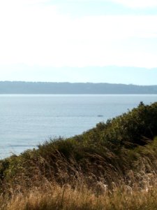 Discovery Park Loop Trail