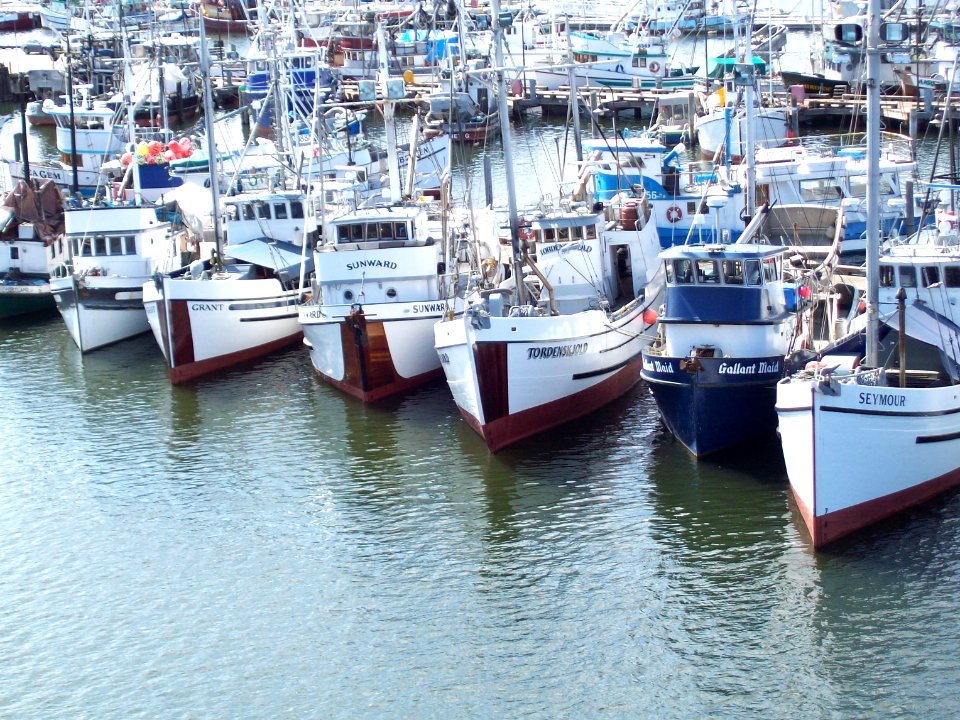 Ballard Fishing Boats