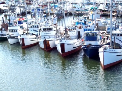 Ballard Fishing Boats photo