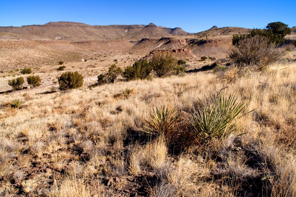 North side of Saddle Mountain