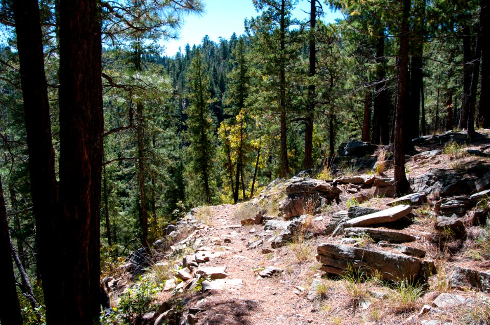 U-Bar Trail No. 28