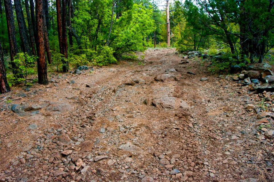 Road to Kelsey Trailhead