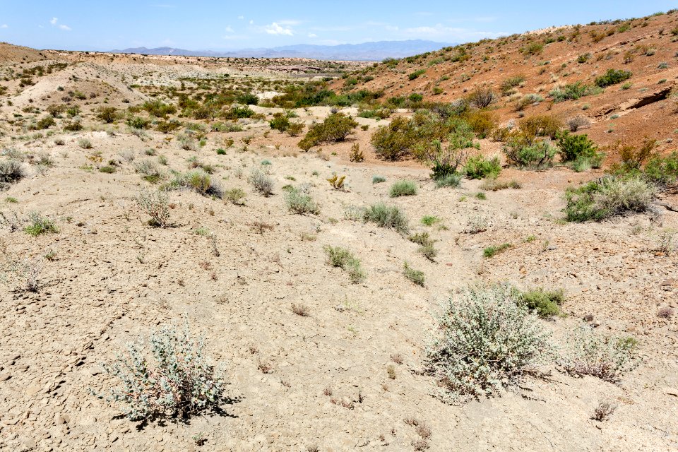 Near San Pedro Arroyo