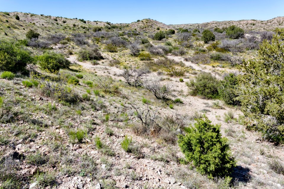 North-northeast of Caprock Mountain
