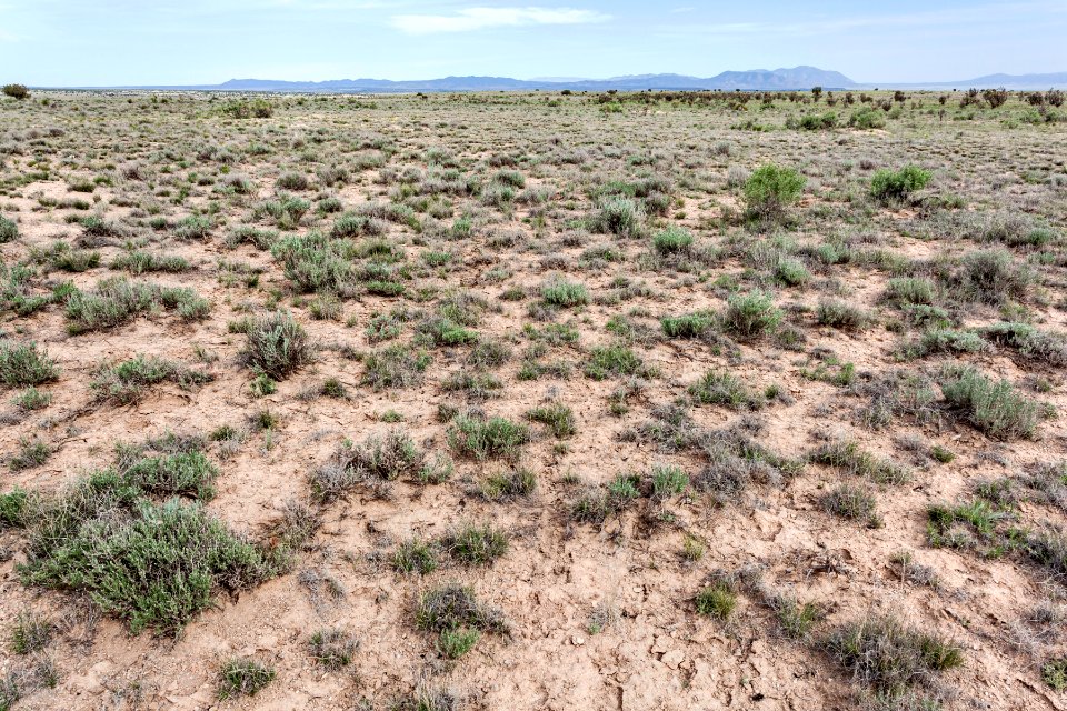 Northeast of Cat Head Mesa
