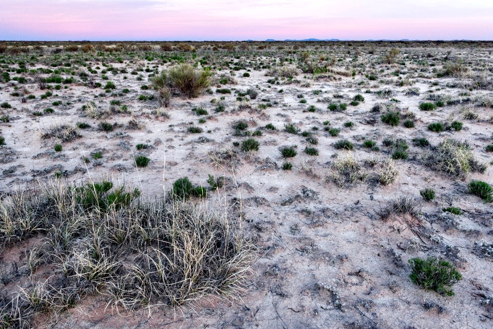 South of Akela Flats