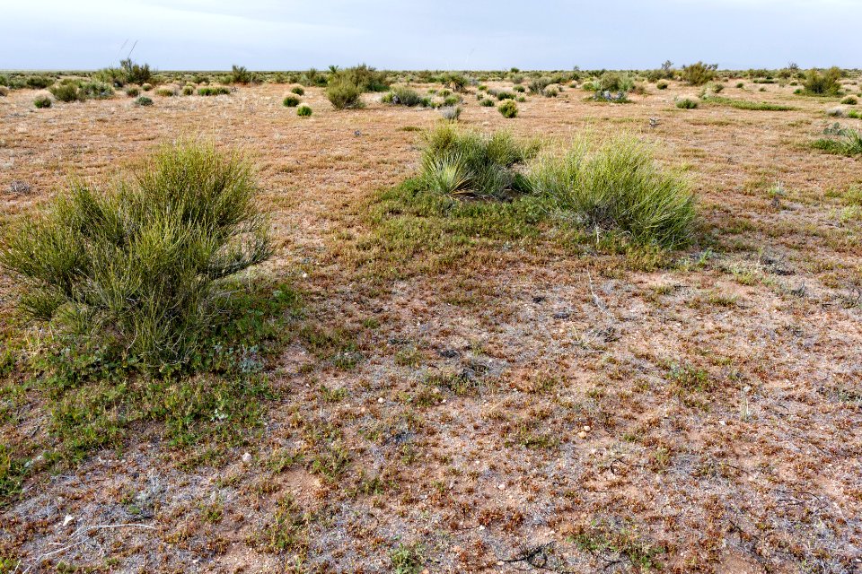 North-northeast of Lordsburg