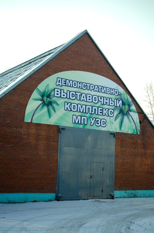 DSC 9502