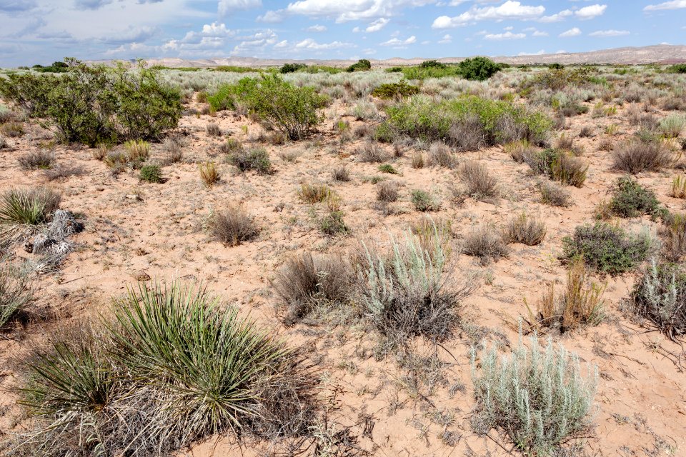 Northeast of Bosquecito