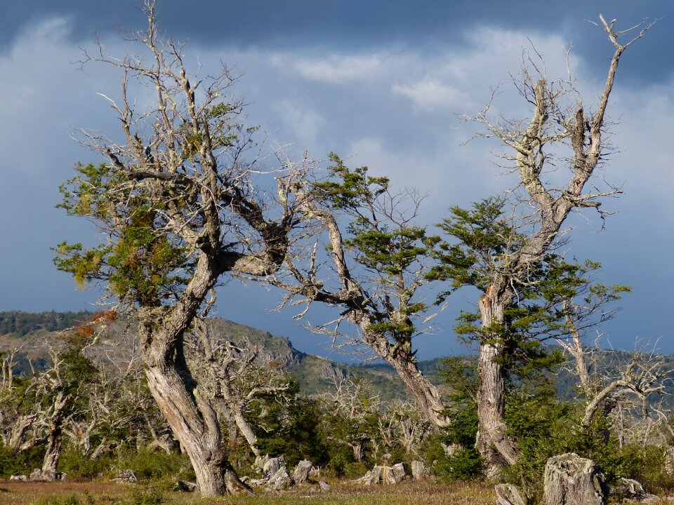 Landscape patagonia mountains